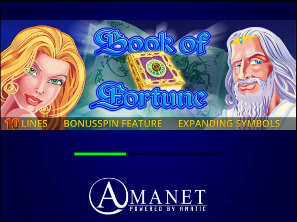 How to Play Book of Fortune Slot Machine