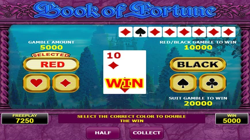 How to Play Book of Fortune by Amatic